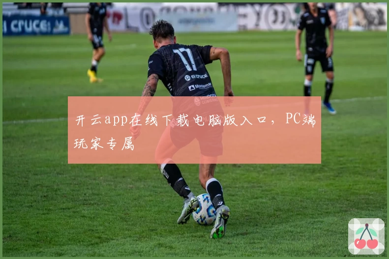 开云app在线下载电脑版入口,PC端玩家专属