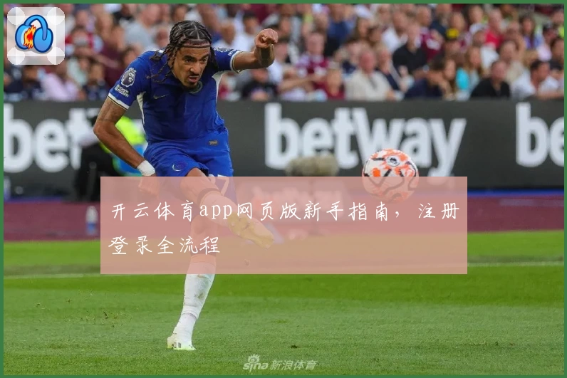 开云体育app网页版新手指南，注册登录全流程