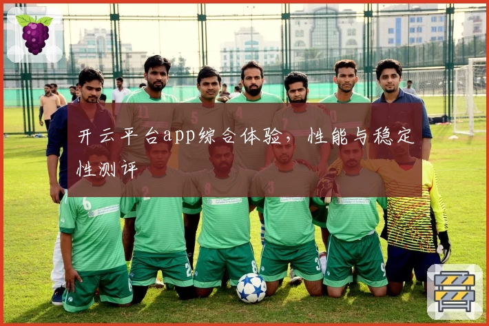 开云平台app综合体验，性能与稳定性测评