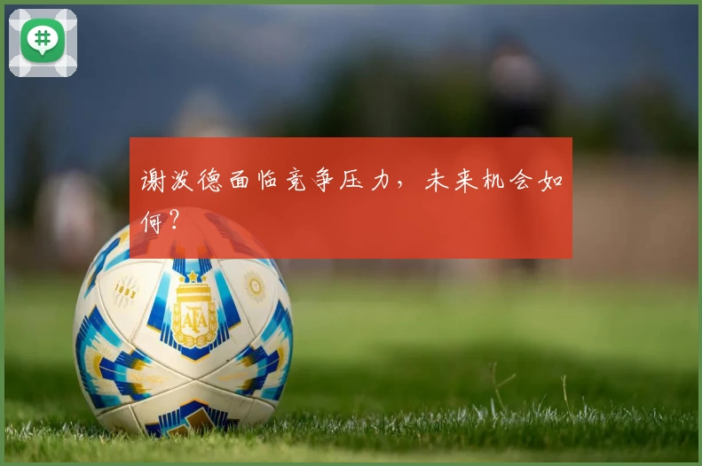 谢泼德面临竞争压力，未来机会如何？