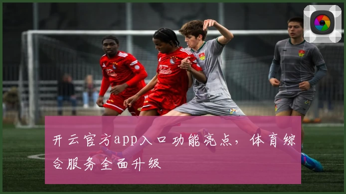 开云官方app入口功能亮点，体育综合服务全面升级